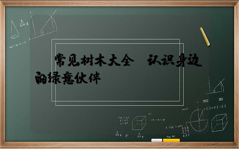  常见树木大全：认识身边的绿意伙伴